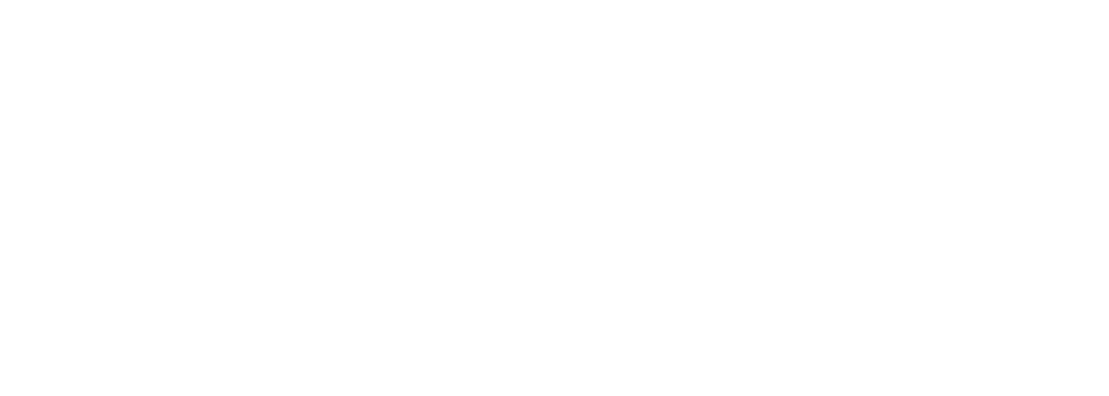 Logo 9